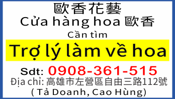 歐香花藝Trợ lý chăm sóc hoa 0908-361-515